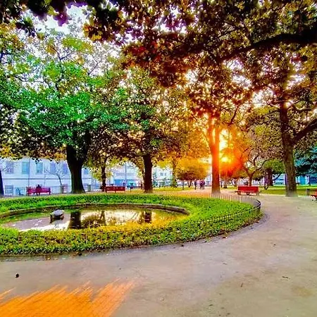 Cozy In The Heart Of 포르투