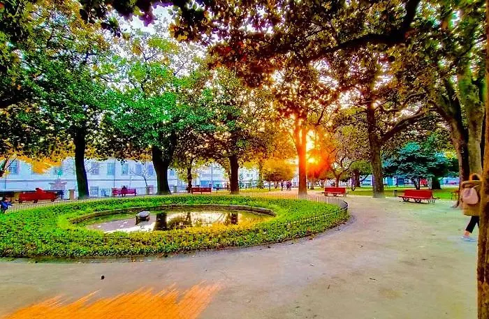 Cozy In The Heart Of Oporto